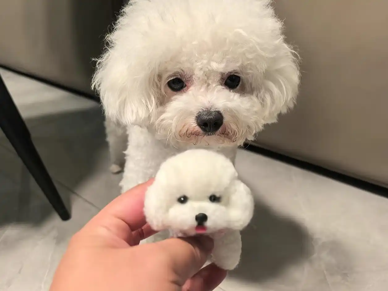 Handmade Wool Chenille Stem Miniature Poodle Plush - Dodo Dog photo review