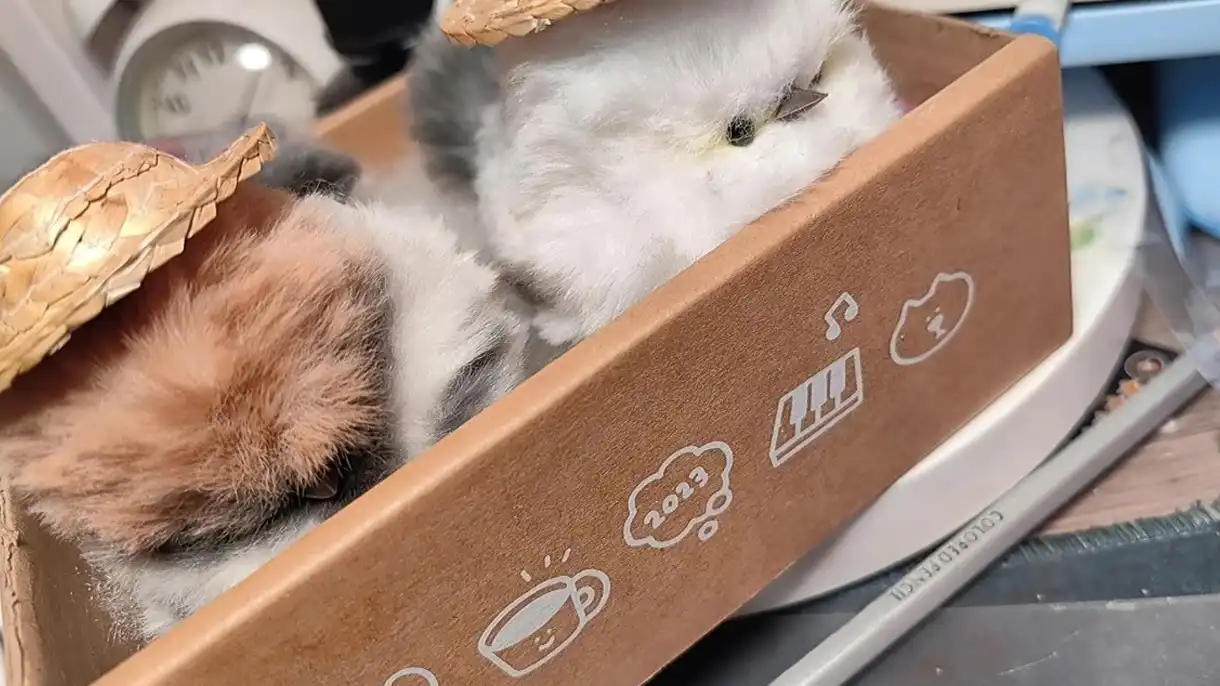 Handmade Chenille Stem Fluffy Bird Plush - Pippie Bird photo review