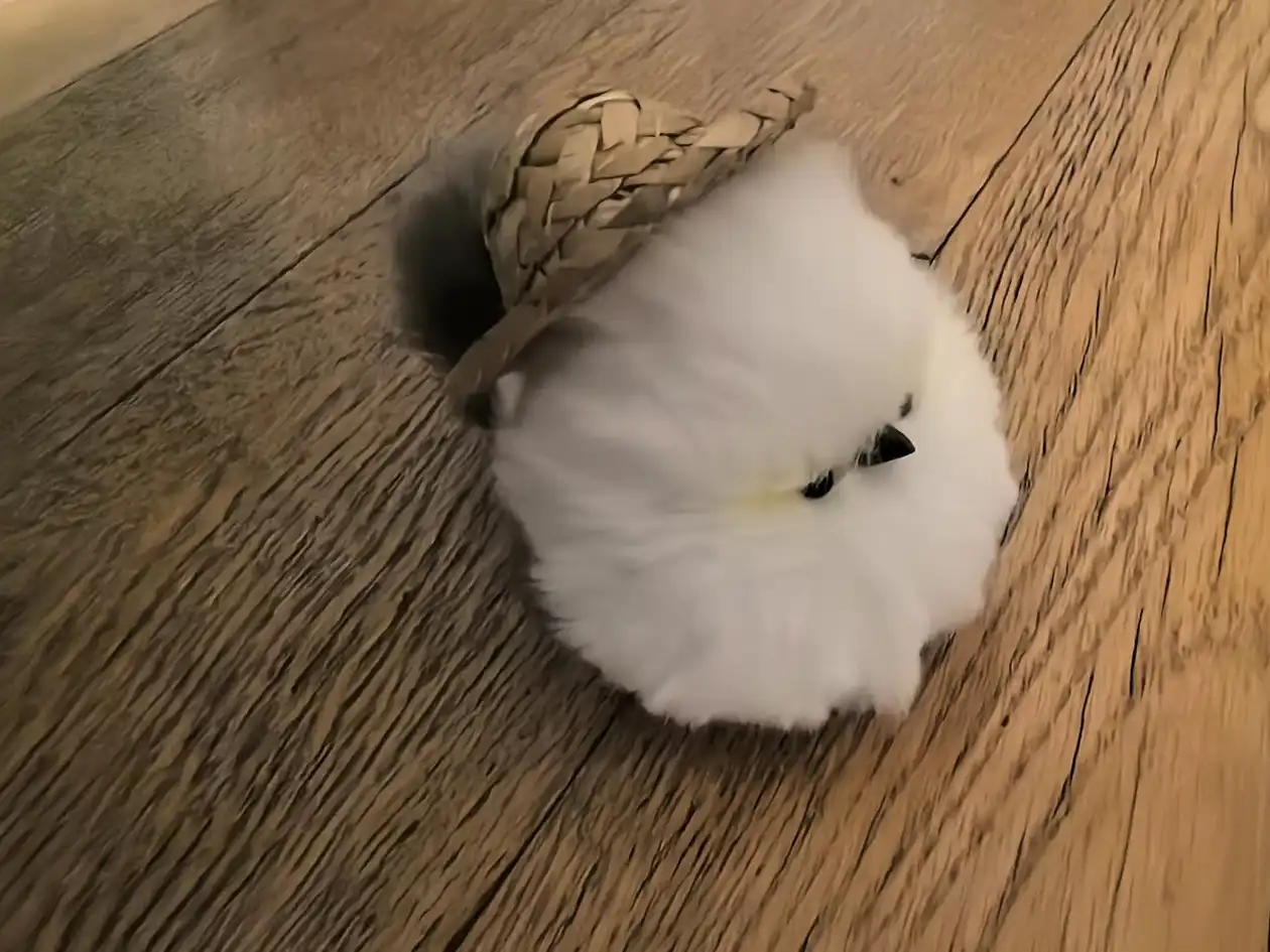 Handmade Chenille Stem Fluffy Bird Plush - Pippie Bird photo review