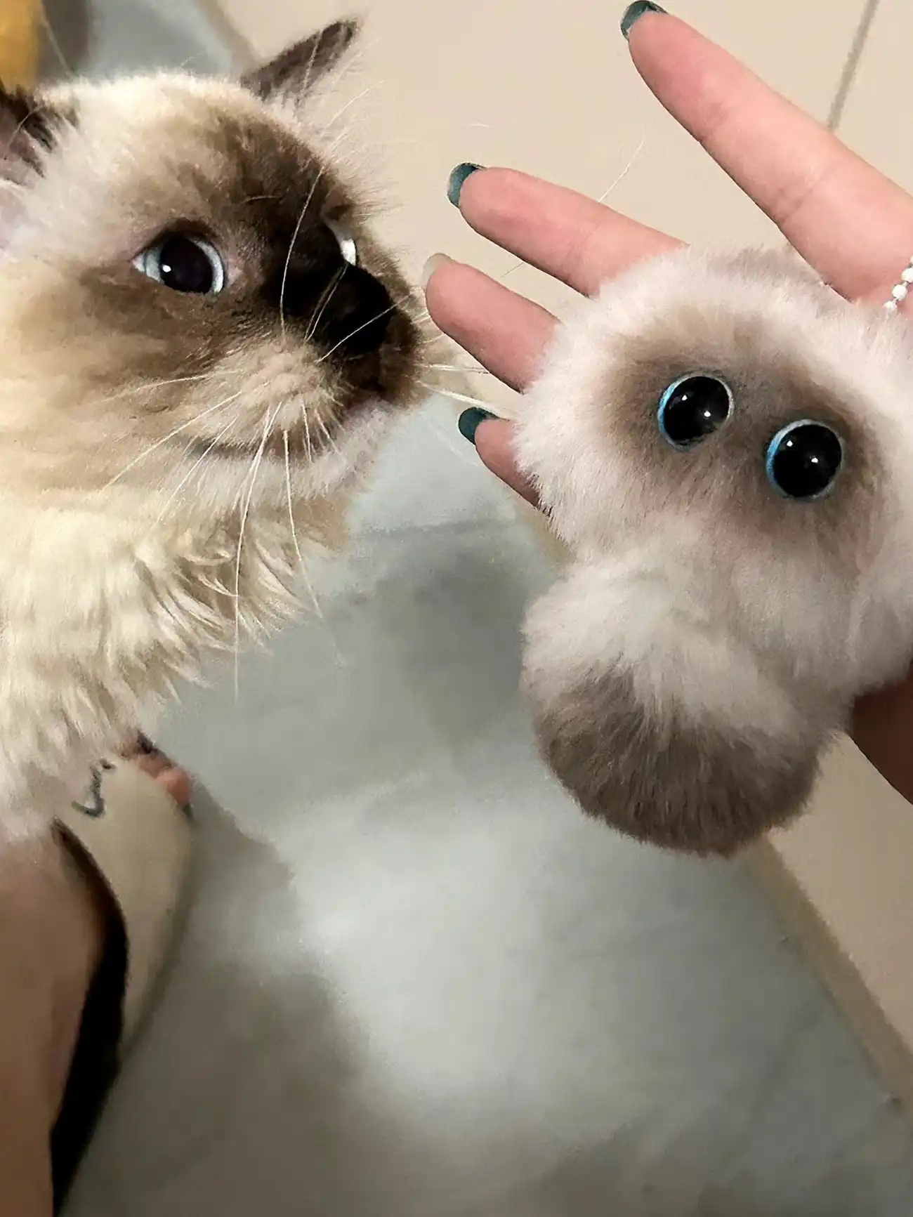 Handmade Fluffy Miniature Cat Plush Keychain - Mewmie Cat photo review