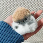 Handmade Fluffy Bird Plush - Pippie Bird