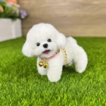 Handmade Mini Poodle Plush - Dodo Dog