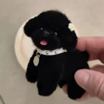 Handmade Wool Chenille Stem Miniature Poodle Plush - Dodo Dog