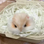 Handmade Chenille Stem Pancake Hamster Plush - Hamie Hamster