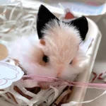 Handmade Chenille Stem Pancake Hamster Plush - Hamie Hamster