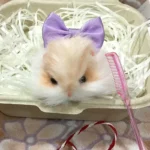 Handmade Chenille Stem Pancake Hamster Plush - Hamie Hamster