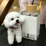 Handmade Wool Chenille Stem Miniature Poodle Plush - Dodo Dog