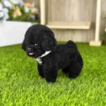 Handmade Mini Poodle Plush - Dodo Dog