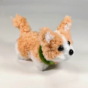 keji-5