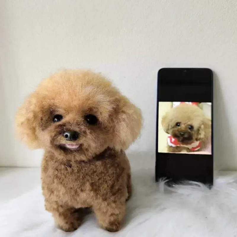 Custom Pet Clone Wool Felt Stuffed Animal Service