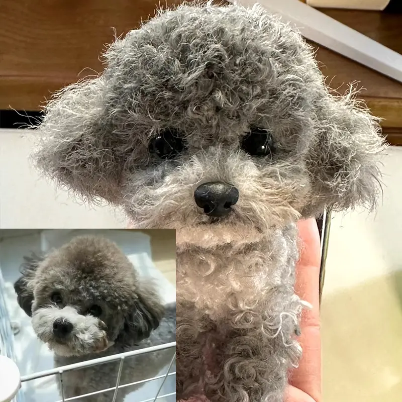 Custom Miniature Pet Clone Chenille Stem Stuffed Animal Service