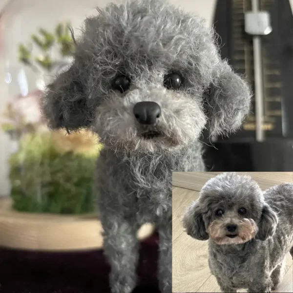 Custom Miniature Pet Clone Chenille Stem Stuffed Animal Service