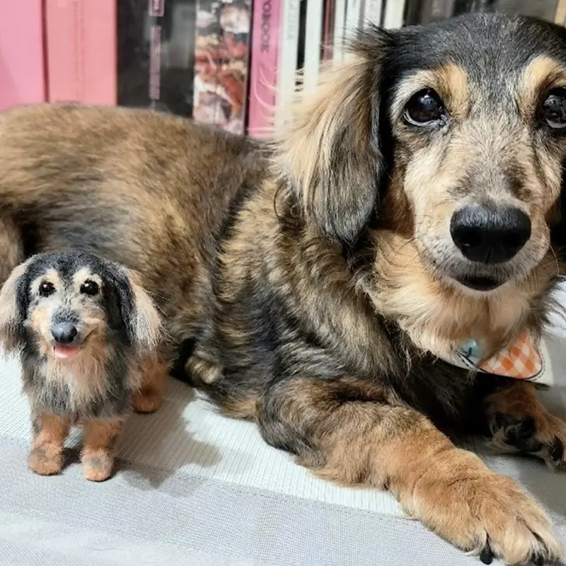 Custom Miniature Pet Clone Chenille Stem Stuffed Animal Service