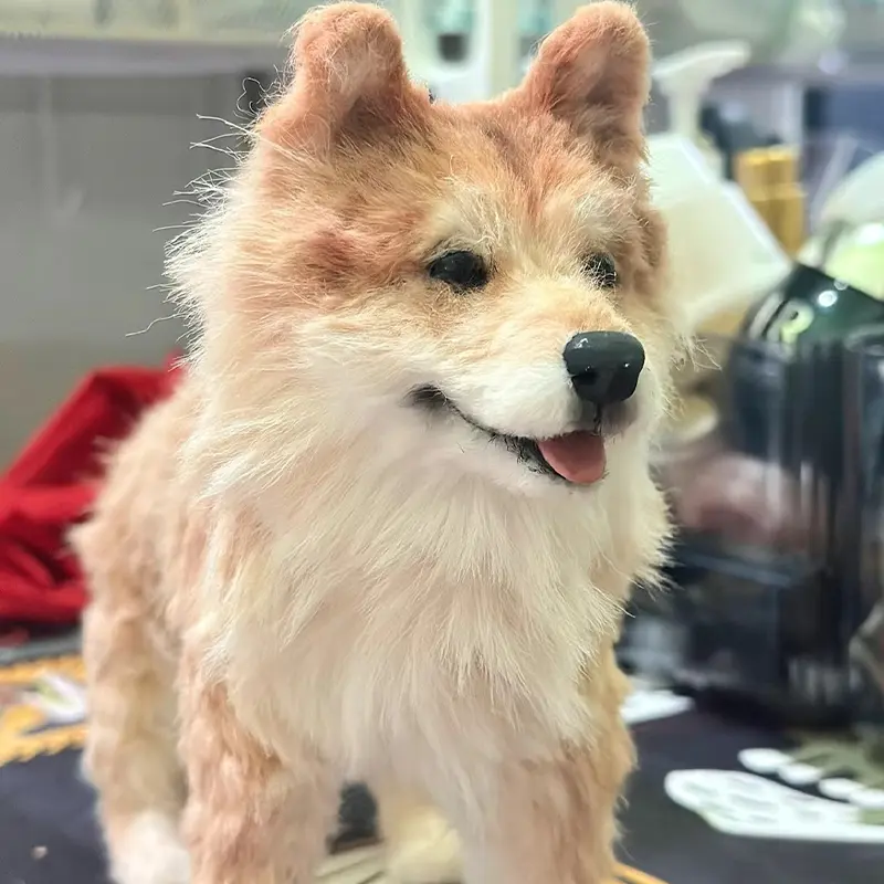 Custom Miniature Pet Clone Chenille Stem Stuffed Animal Service