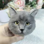 Custom Pet's Head Pet Clone Wool Felt Stuffed Animal Service