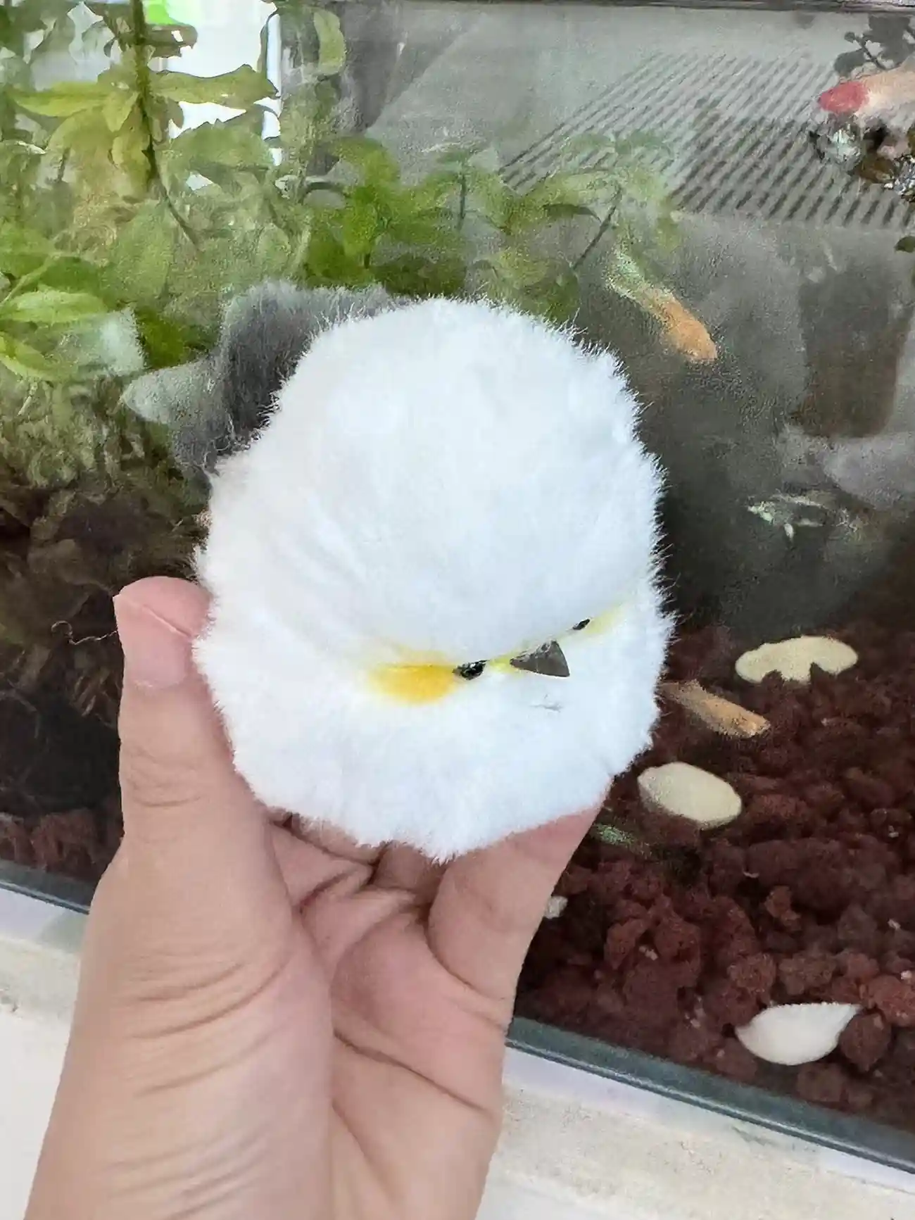 Handmade Fluffy Bird Plush - Pippie Bird photo review