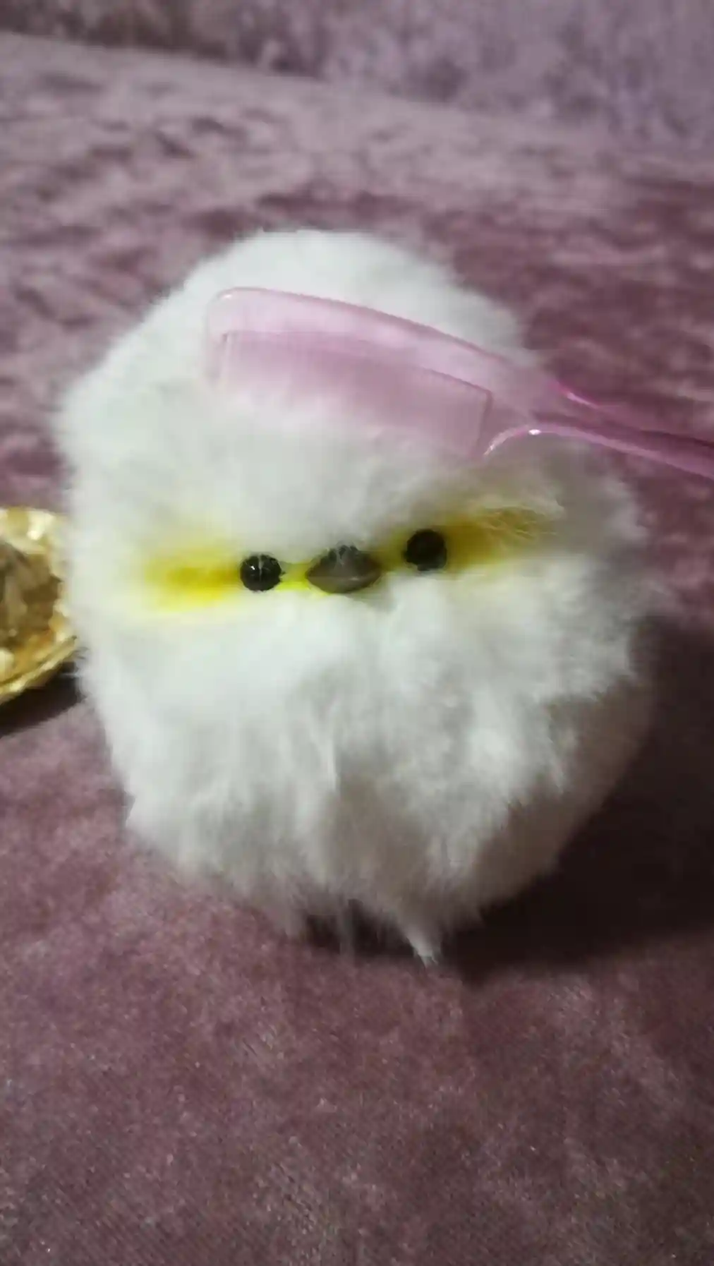 Handmade Fluffy Bird Plush - Pippie Bird photo review