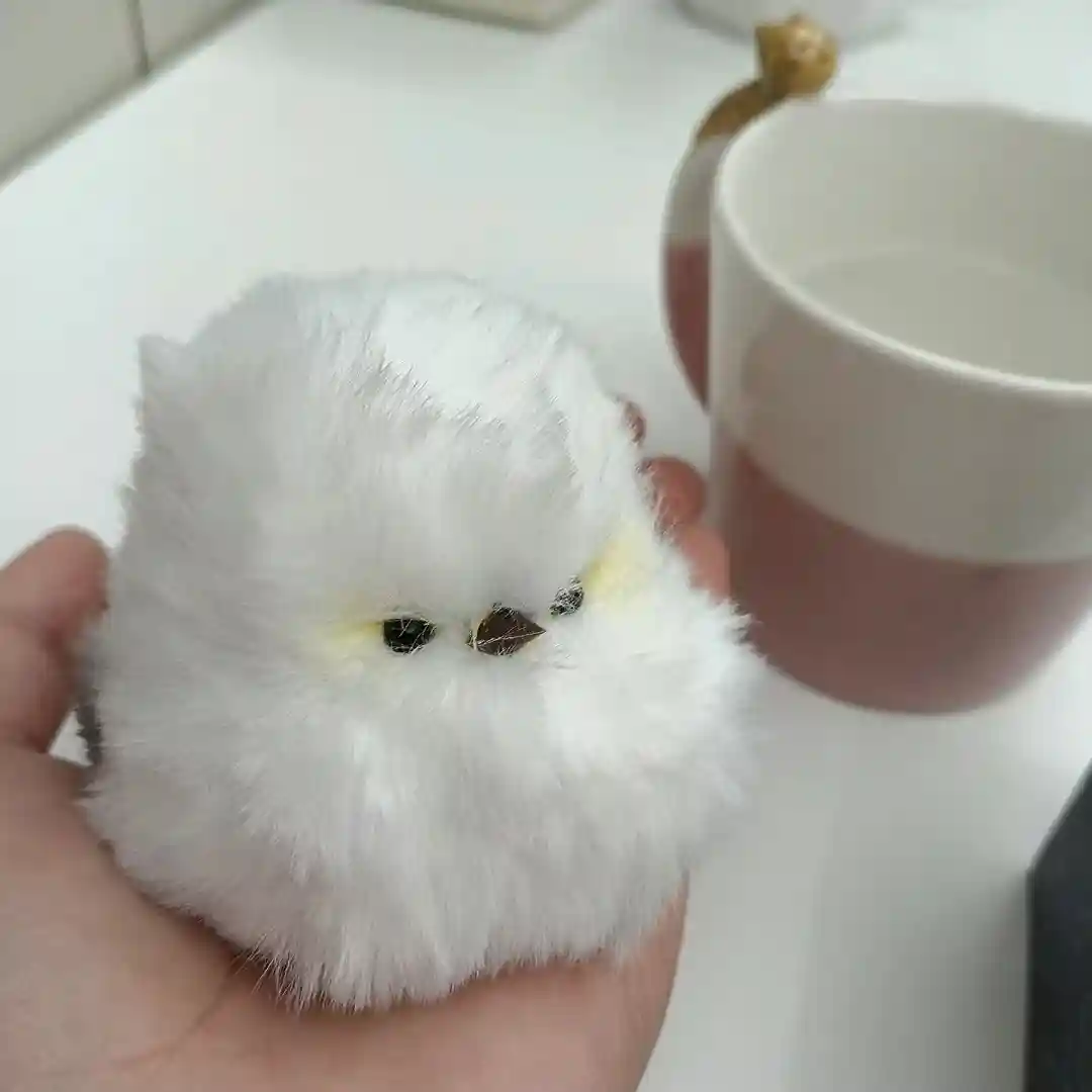 Handmade Fluffy Bird Plush - Pippie Bird photo review