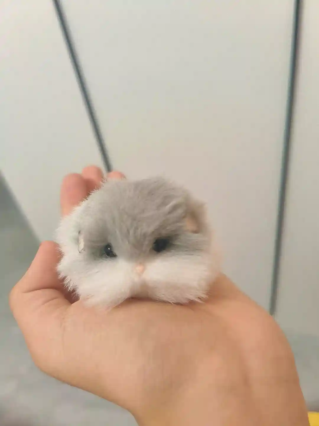 Handmade Pancake Hamster Plush - Hamie Hamster photo review