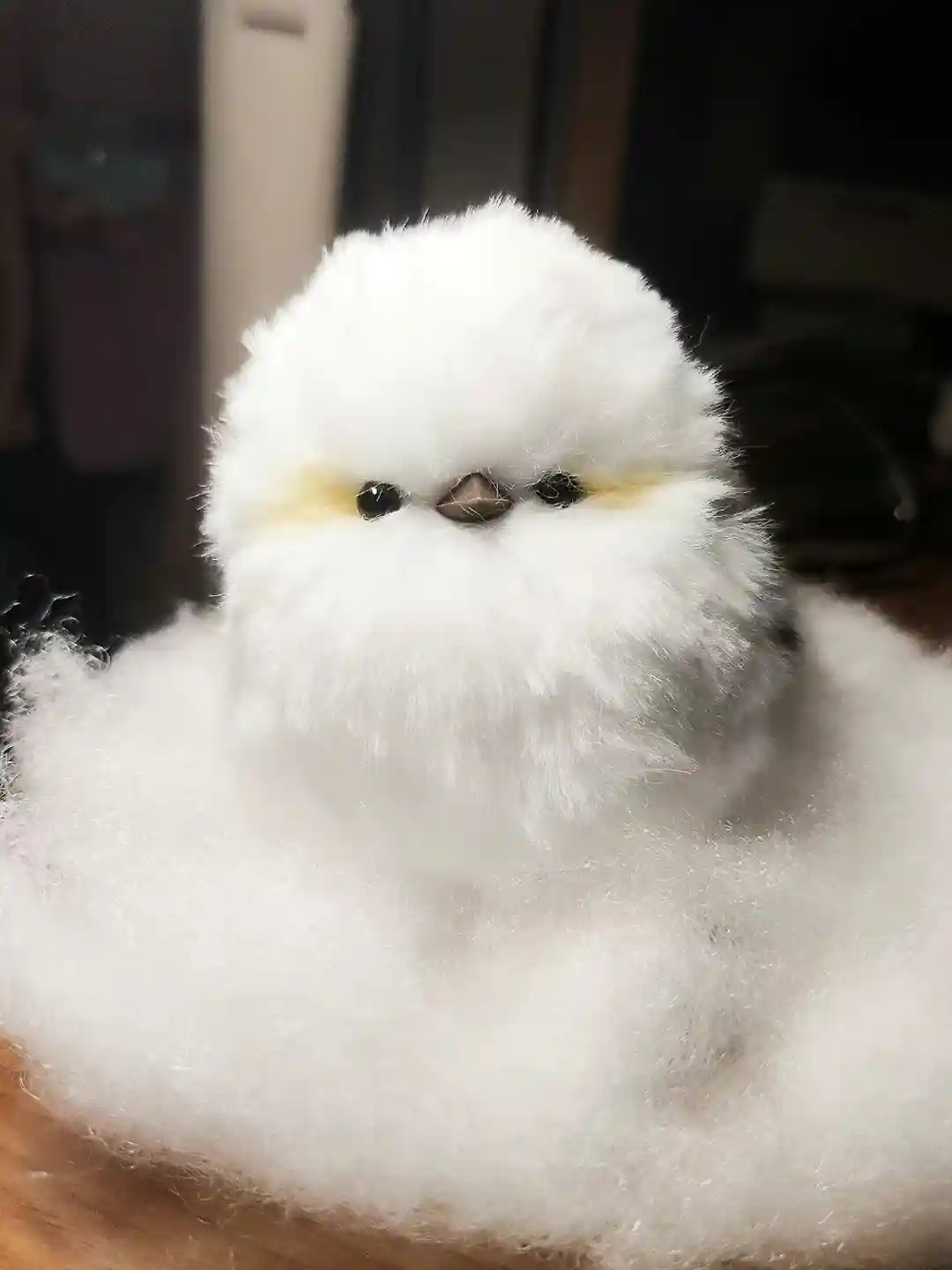 Handmade Fluffy Bird Plush - Pippie Bird photo review