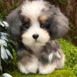 Handmade Mini Bernese Mountain Plush - Bona Dog