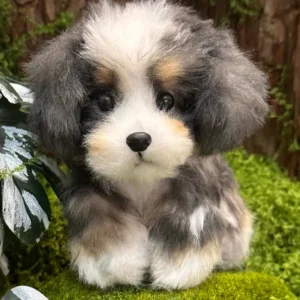 Handmade Mini Bernese Mountain Plush - Bona Dog
