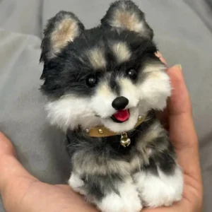 Handmade Mini Pomsky Plush - Coye Dog