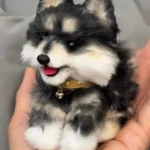 Handmade Mini Pomsky Plush - Coye Dog