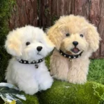 Handmade Mini Golden Retriever Plush - Ofi Dog