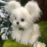 Handmade Mini Yorkshire Terrier Plush - Yorie Dog