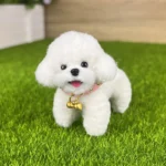 Handmade Mini Poodle Plush - Dodo Dog