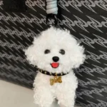 Handmade Toy Poodle Plush – Domi Dog