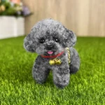 Handmade Mini Poodle Plush - Dodo Dog