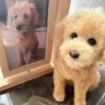 Custom Pet Clone Wool Felt Stuffed Animal