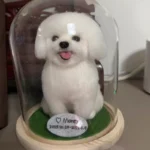 Custom Pet Clone Wool Felt Stuffed Animal