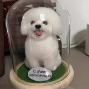 NEDDLE FELTED CLONE DOME-1