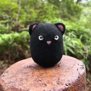 Boii Cat
