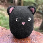 Boii Katze