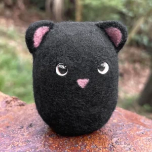 Boii Cat