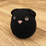 Boii Katze