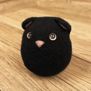 Boii Katze