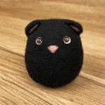 Boii Katze