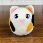 Boii Cat
