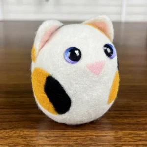 Boii Cat-Calico_2